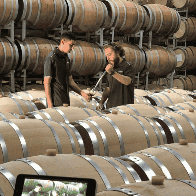 Two people checking wine barrels