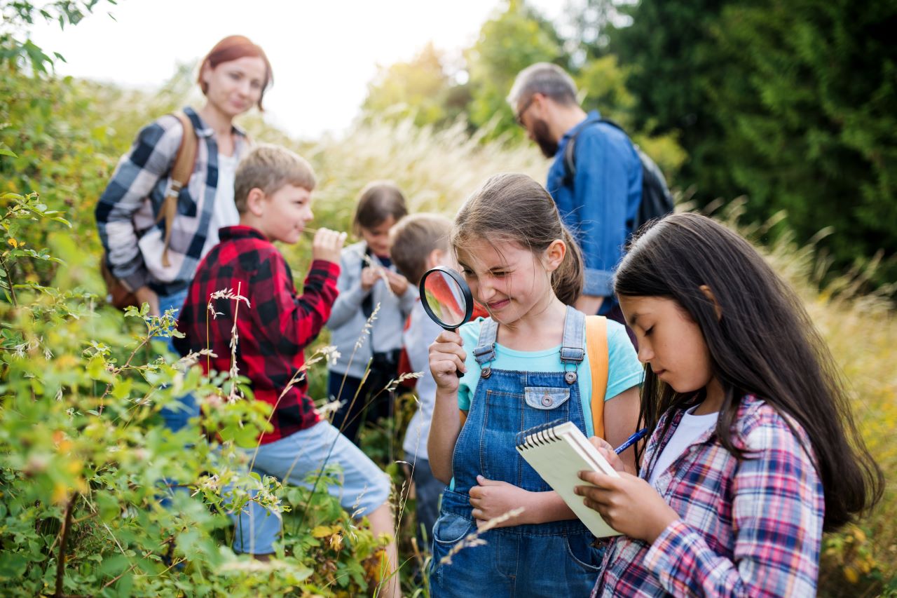 School kids in bushland