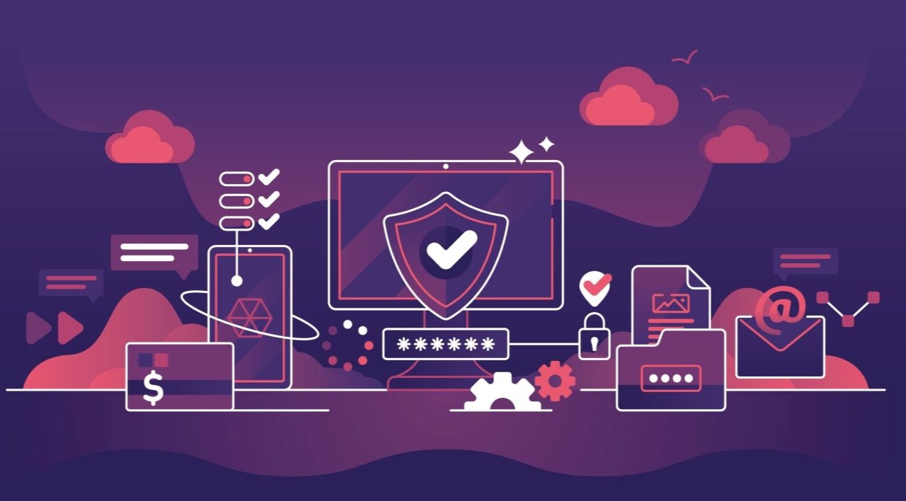 Graphic of PII risk coverage