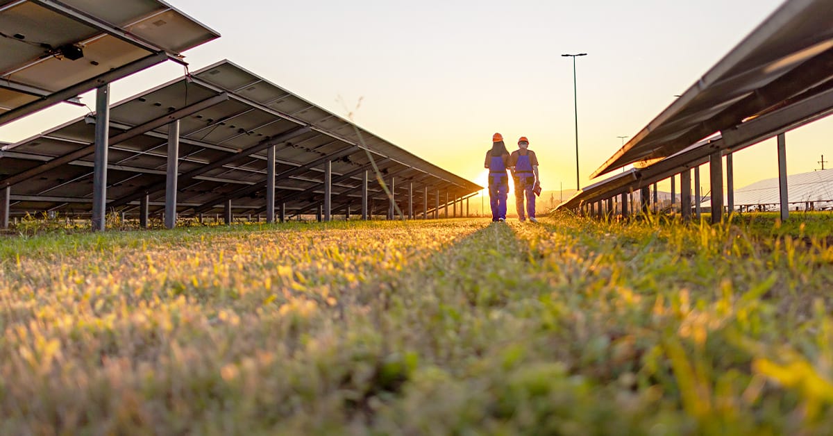 Solar panel farm with two people walking in the distance
